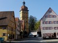 Joy (15)